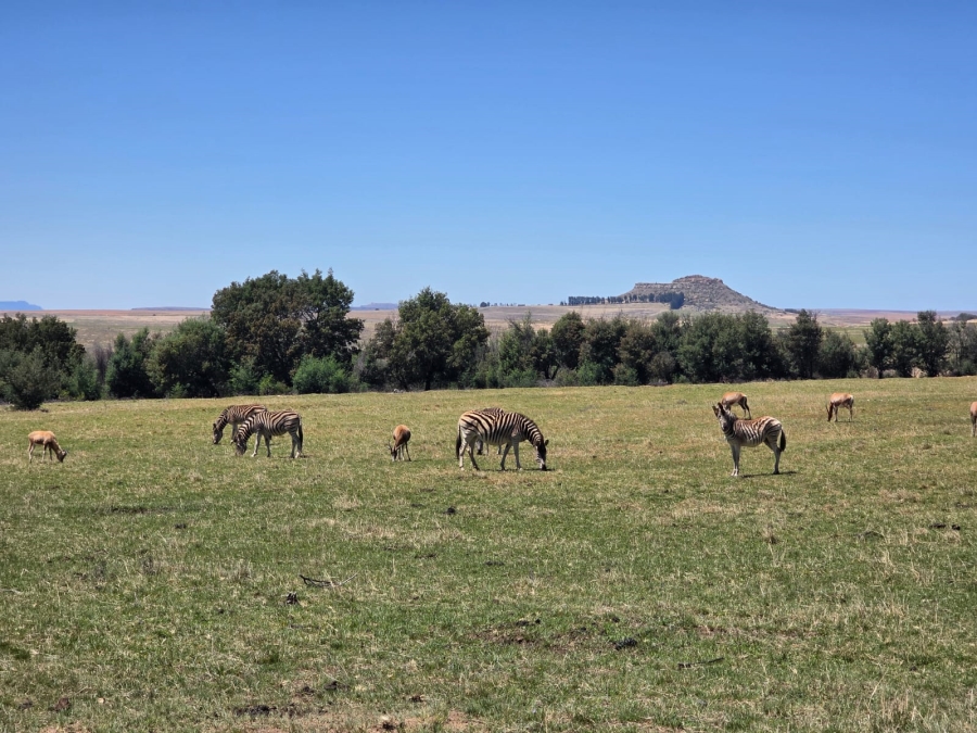 8 Bedroom Property for Sale in Bethlehem Rural Free State